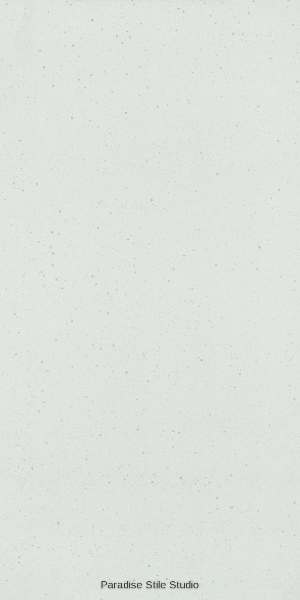 Terazzo White (Polished Super Special)